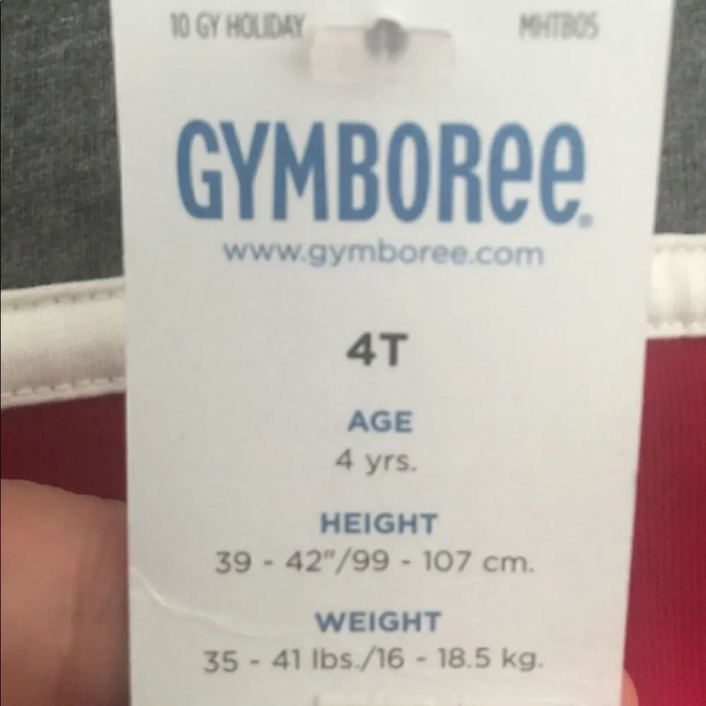 🎉1 hr sale 🎉Gymboree sweater Hoodie
